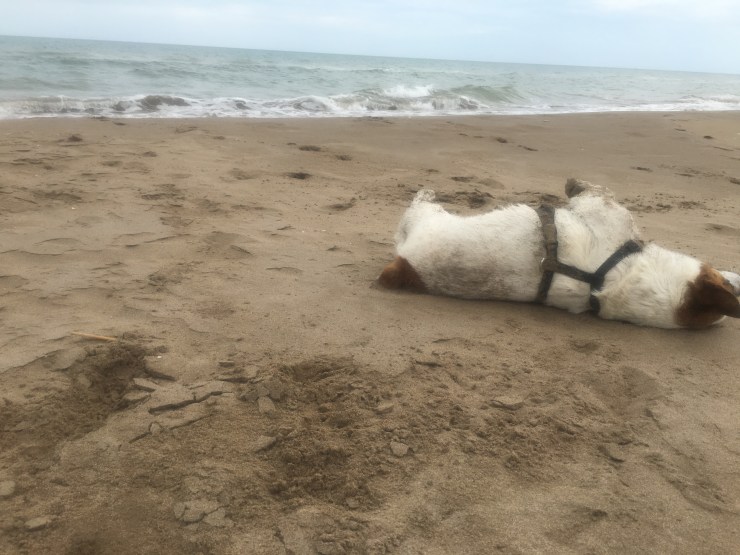 051D4251-0920-414B-ADB5-796E7BF07521