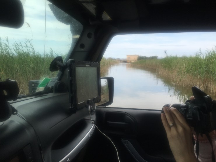 20DE4C61-34F2-4CEC-8B6C-62149C6DAE42