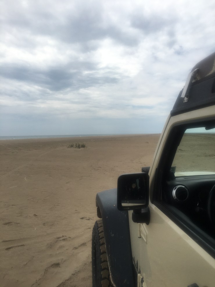 DFB67606-CB42-4FD8-B0E3-E232938BF6A7